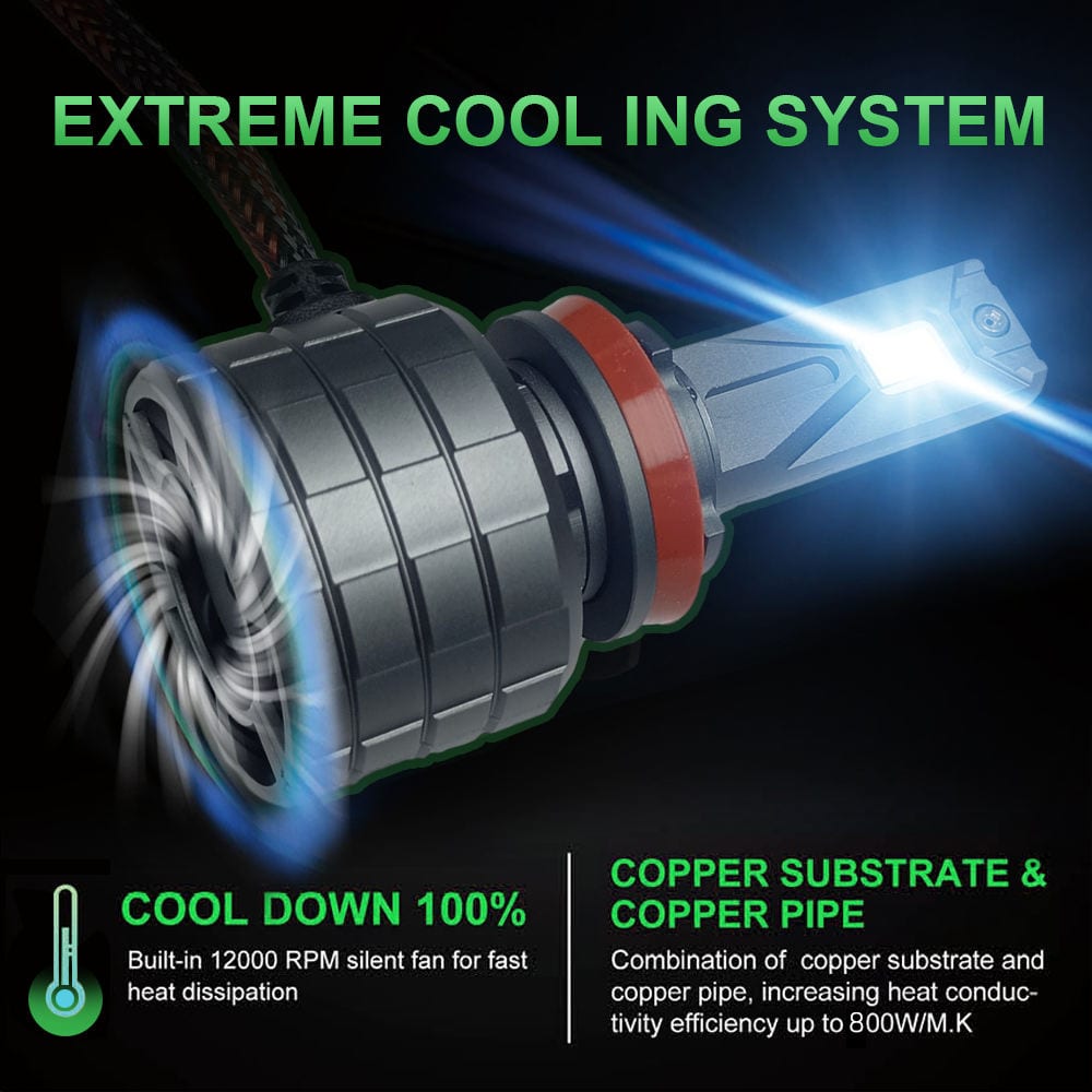 View 5